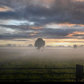 The early bird catches the worm by Photo by Chris