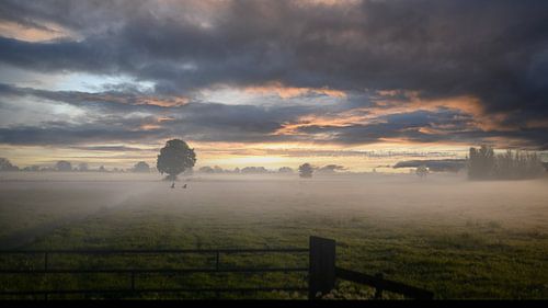 The early bird catches the worm