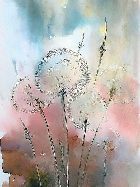 Aquarel schilderij van serene pluizenbollen (Dandelions) van Studio Pieternel