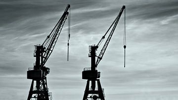Cargo cranes in port by Frank Heinz
