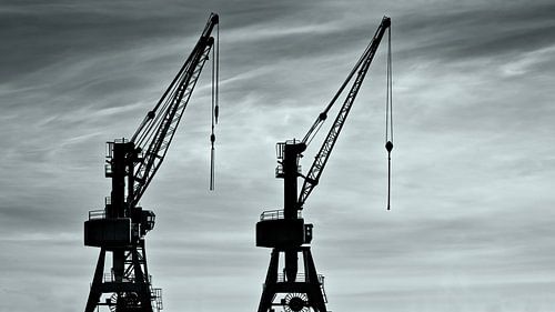 Kranen in de haven