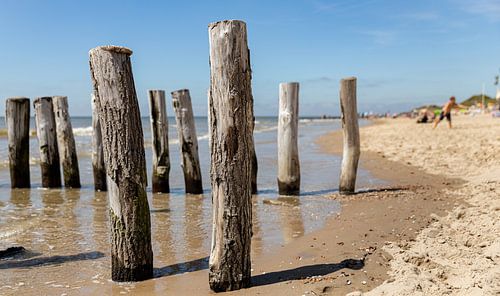 Strandpaaltjes op het strand 2