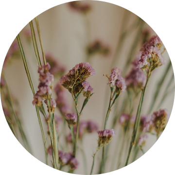 Detail gedroogde bloemen van Diewke Eerdekens