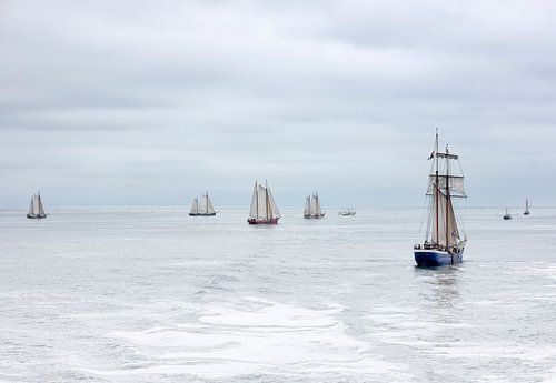 Regatta