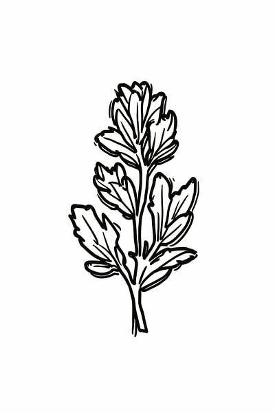 Minimalist black and white flower line drawing by Art & Soul Creations