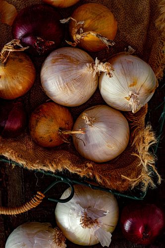 Still life 'onions
