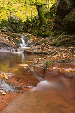 Herfstkleuren in de canyon van de Ninglinspo by Francois Debets