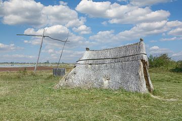 at the Lange Lacke in the Seewinkel National Park by Peter Eckert