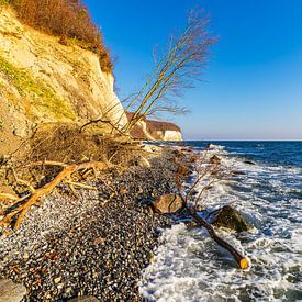 Kreidefelsen im Herbst an der Küste der Ostsee auf der Insel R von Rico Ködder