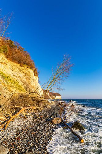 Chalk cliffs in autumn on the coast of the Baltic Sea on the island of R by Rico Ködder