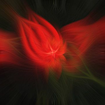 Flower of light. Abstract Geometric Fireworks. Red star. by Dina Dankers