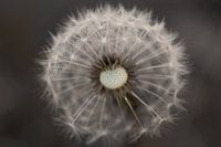 Unfocused