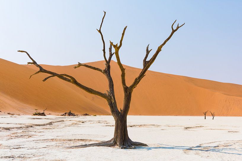Namibia: ein Land der Extreme und atemberaubender Schönheit. von Patrick Fotografeert
