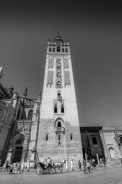 Giralda-Turm, Sevilla von Hille Bouma