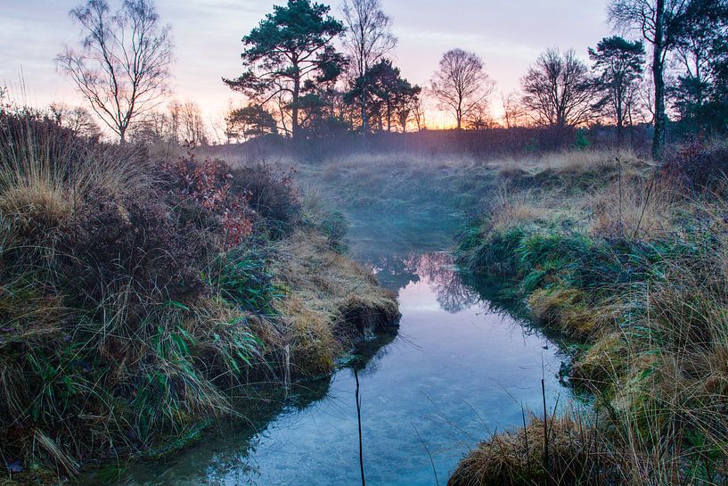 Doorwerthse heide by Sander Eggen