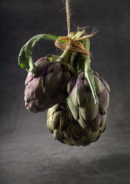 Artisjokken van Alex Neumayer