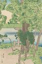 Windböen wehen durch frühsommerliche Vegetation, Kasamatsu Shiro von Meisterhafte Meister Miniaturansicht