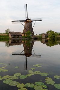 Windmühle Kinderdijk