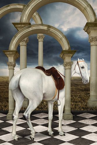 A Lady's Grey Hunter