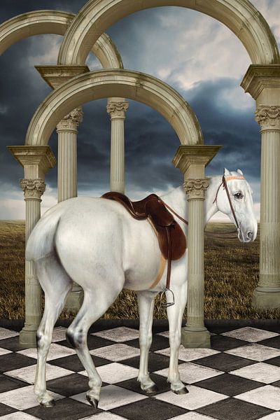 A Lady's Grey Hunter by Marja van den Hurk