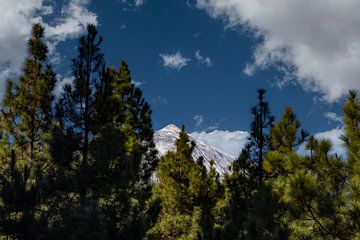 El Teide, vulkaan op Tenerife Spanje van Gert Hilbink