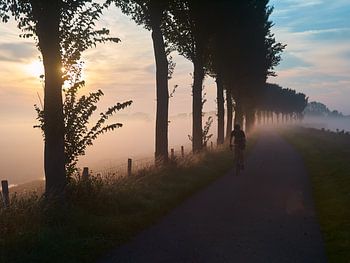 Radfahrer am Morgen