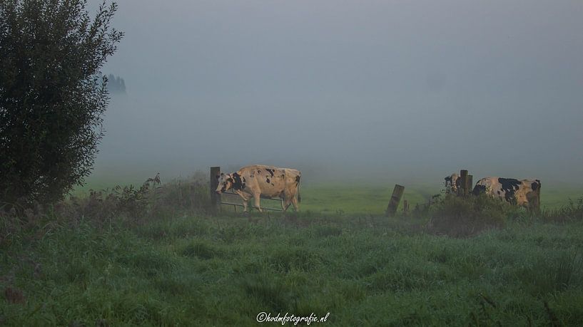 à la fosse à lait dans la rosée du matin par Hilbrand van der Meulen