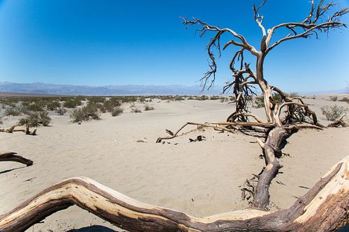 Verlaten in Death Valley