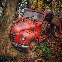 Vieux routier