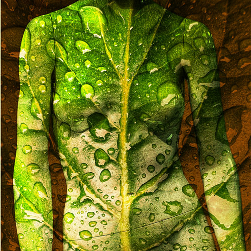 BODYART 05