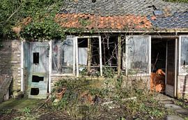 Perdu dans le temps ! sur Robert Kok