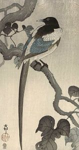 Elster auf einem Ast des Ohara Koson