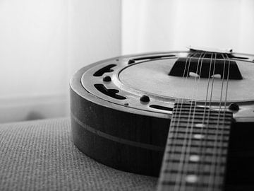 Een mandoline banjo in zwart wit van Martijn Wit