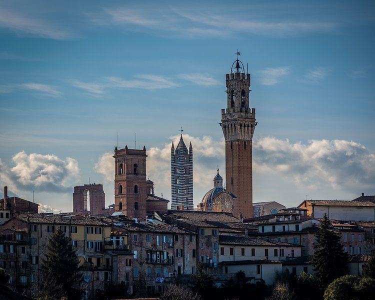 De torens van Siena van Teun Ruijters