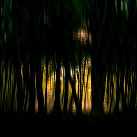 Magie in het bos van Jeannette Arends