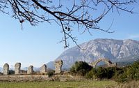 Ormos