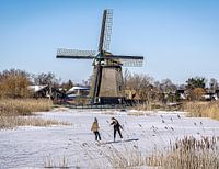 Holland in wintertime