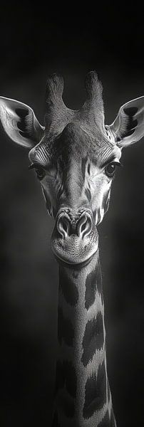 Giraffe by Poster Art Shop
