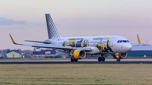 Vueling Airbus A320-200 met Linking Europe livery.