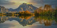 Neuschwanstein und Forggensee von Walter G. Allgöwer Miniaturansicht