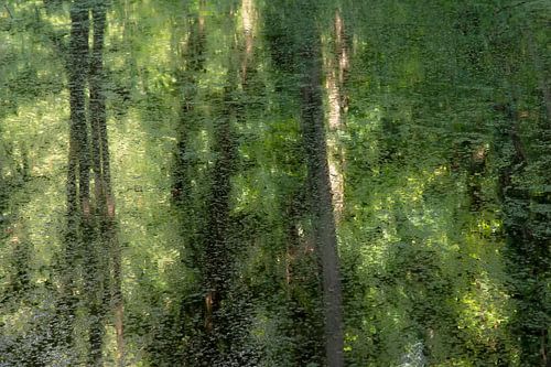 Weerspiegeling in het water