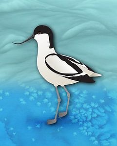 Avocette élégante