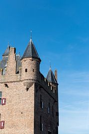 Doornenburg castle by Richard Wareham