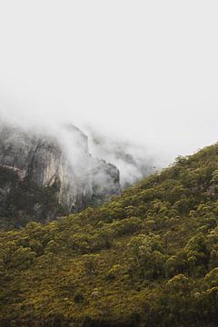 Cradle Mountain: Tasmanien's atemberaubende Wildnis von Ken Tempelers