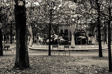 Le carrousel du Jardin des Tuileries, Paris, France sur Yvette J. Meijer