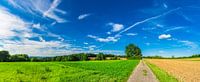 Panorama van zandweg langs landelijke velden en bewolkte blauwe hemel van Alex Winter thumbnail