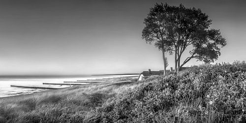 Oostzee bij Ahrenshoop met strand en rieten huis in zwart-wit
