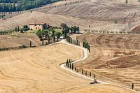 Gouden Heuvels van Toscane bij Zonsondergang