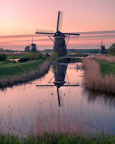 Kinderdijk molens bij zonsopkomst