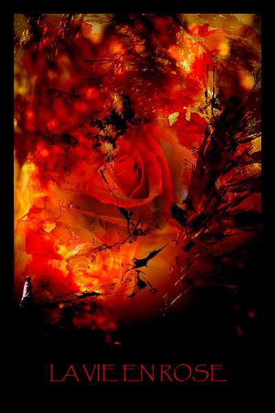 LA VIE EN ROSE von Ted van den Aarssen